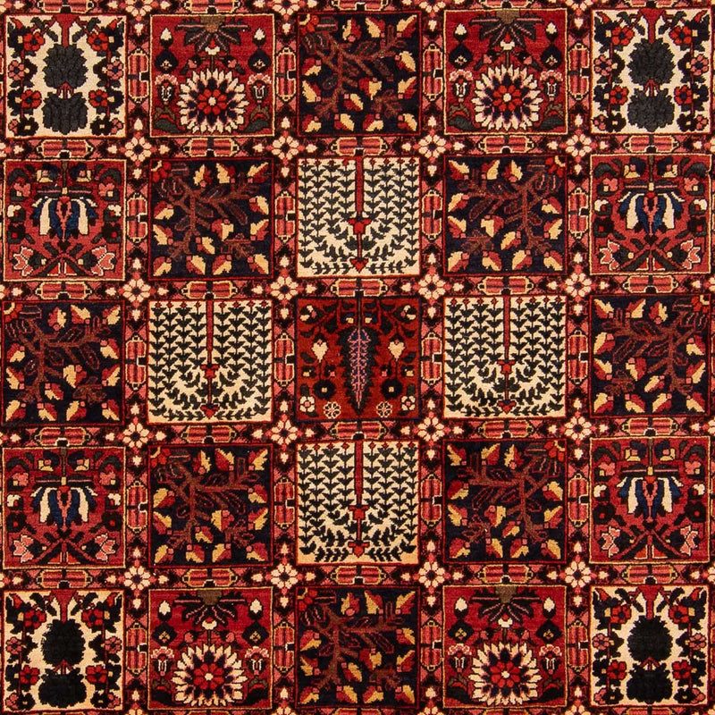 バフティアール 絨毯 365x265cm - ペルシャ絨毯