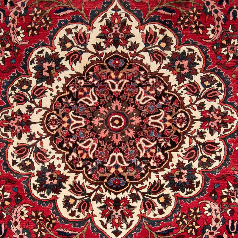 バフティアール 絨毯 365x265cm - ペルシャ絨毯