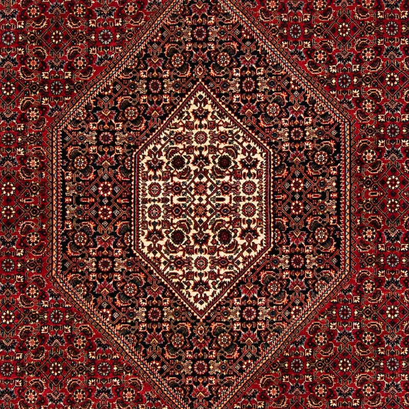 ビジャー 絨毯 261x164cm - ペルシャ絨毯