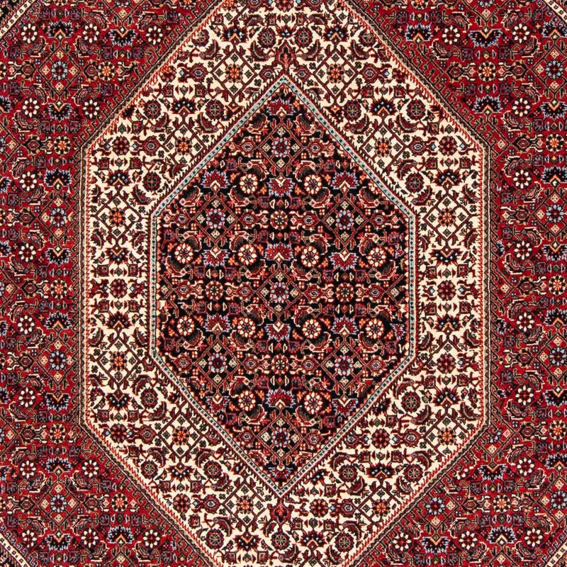 ビジャー 絨毯 237x173cm - ペルシャ絨毯