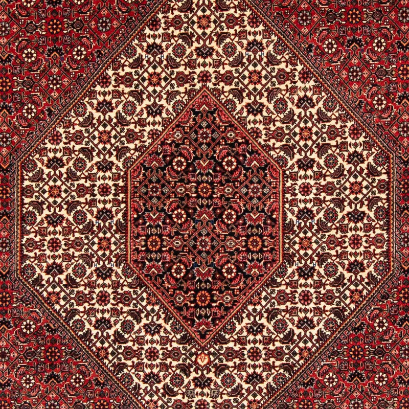 ビジャー 絨毯 232x153cm - ペルシャ絨毯