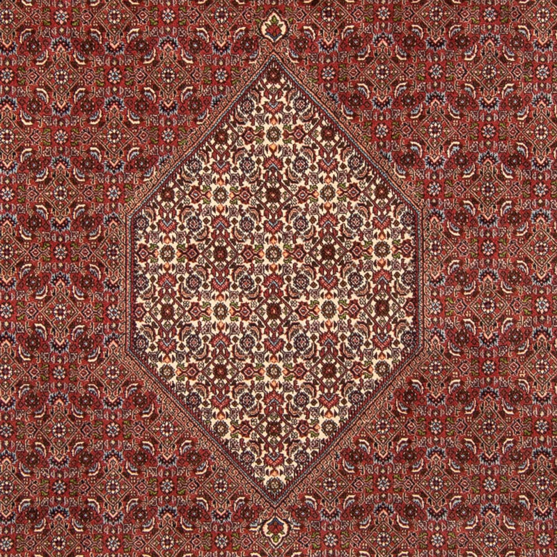 ビジャー 絨毯 358x250cm - ペルシャ絨毯