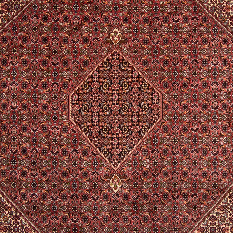 ビジャー 絨毯 338x248cm - ペルシャ絨毯