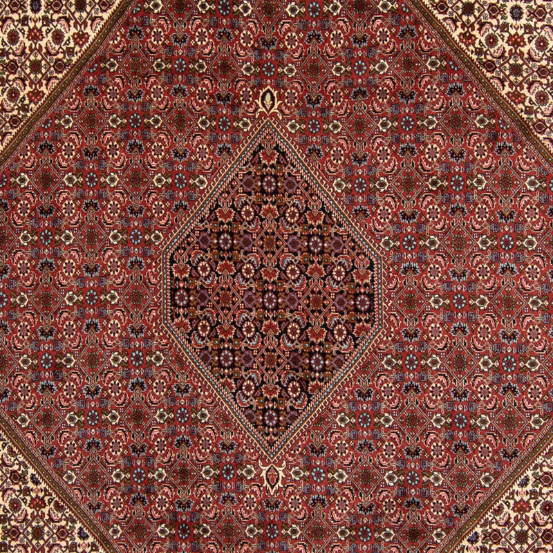 ビジャー 絨毯 340x252cm - ペルシャ絨毯
