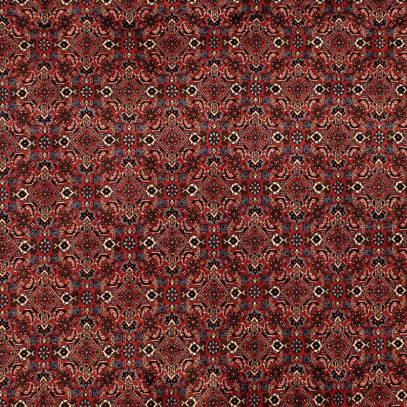 ビジャー 絨毯 284x200cm - ペルシャ絨毯