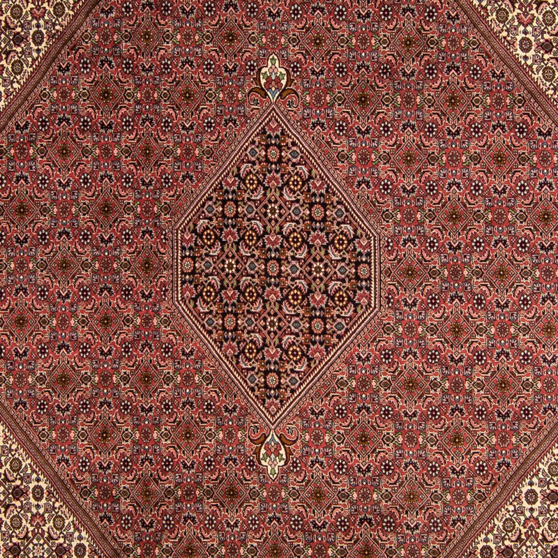 ビジャー 絨毯 350x245cm - ペルシャ絨毯