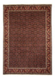 ビジャー 絨毯 345x245cm - ペルシャ絨毯