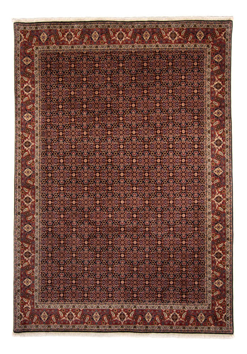 ビジャー 絨毯 345x245cm - ペルシャ絨毯