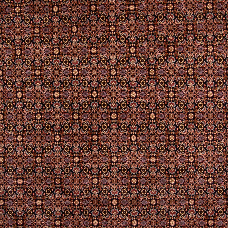 ビジャー 絨毯 345x245cm - ペルシャ絨毯