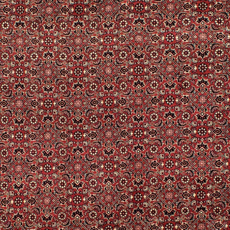 ビジャー 絨毯 305x198cm - ペルシャ絨毯