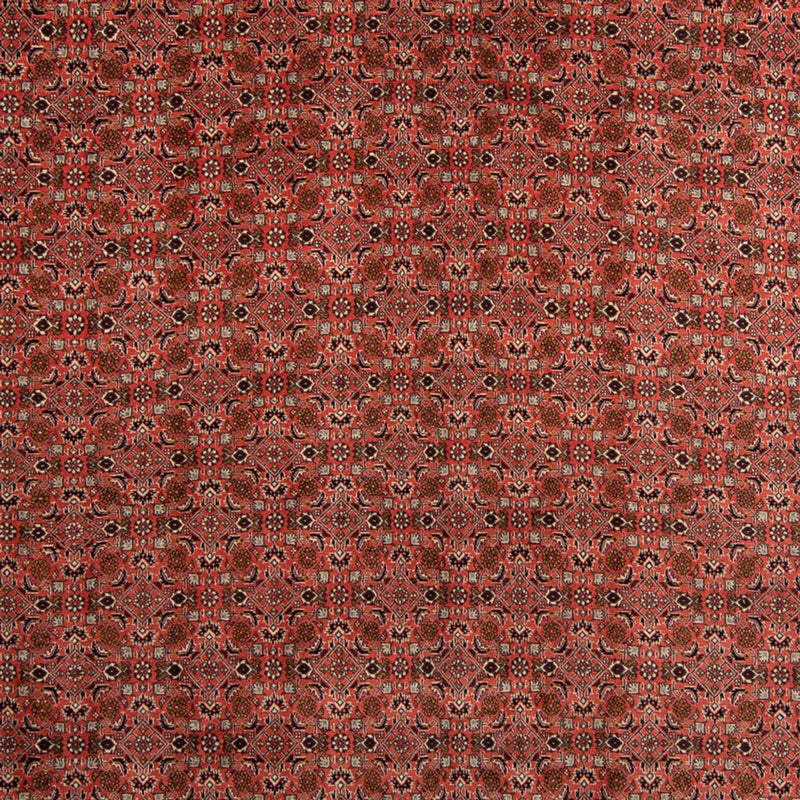 ビジャー 絨毯 357x248cm - ペルシャ絨毯