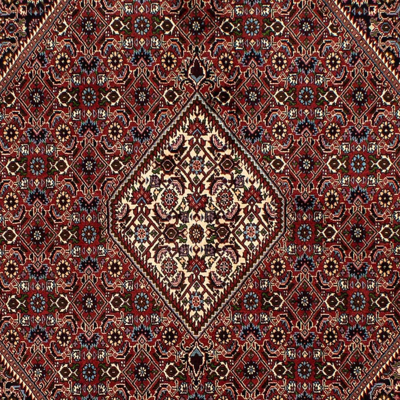 ビジャー 絨毯 250x173cm - ペルシャ絨毯
