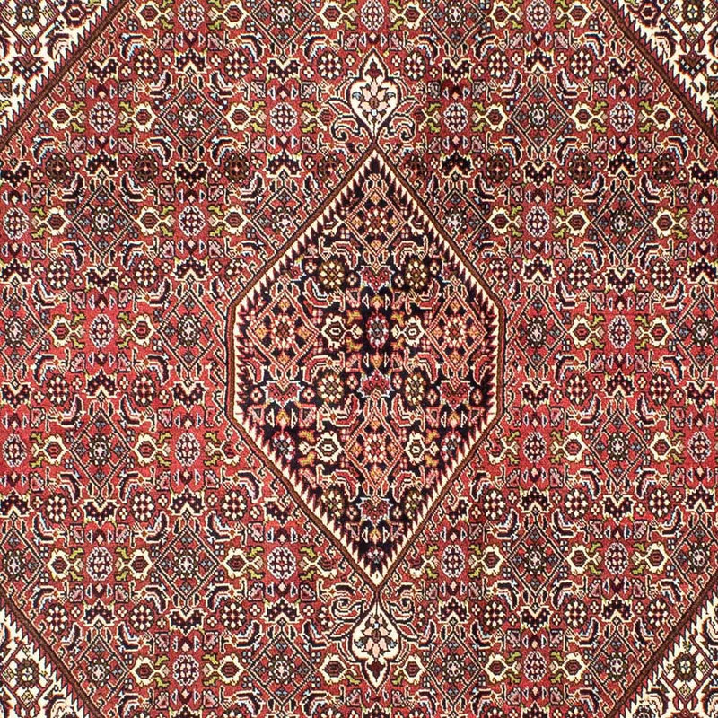 ビジャー 絨毯 251x174cm - ペルシャ絨毯