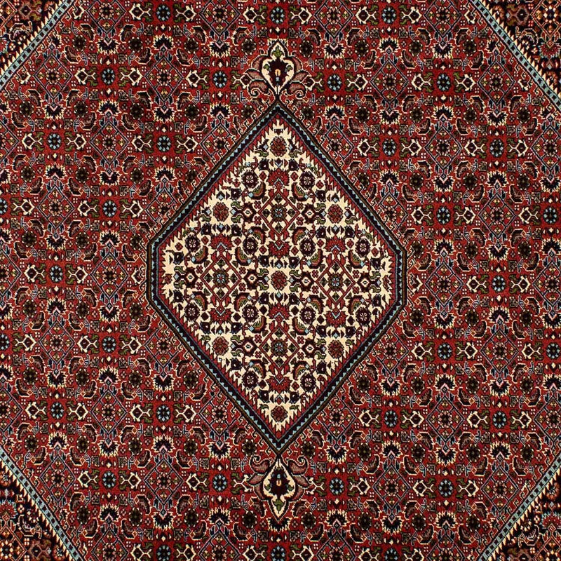 ビジャー 絨毯 300x202cm - ペルシャ絨毯