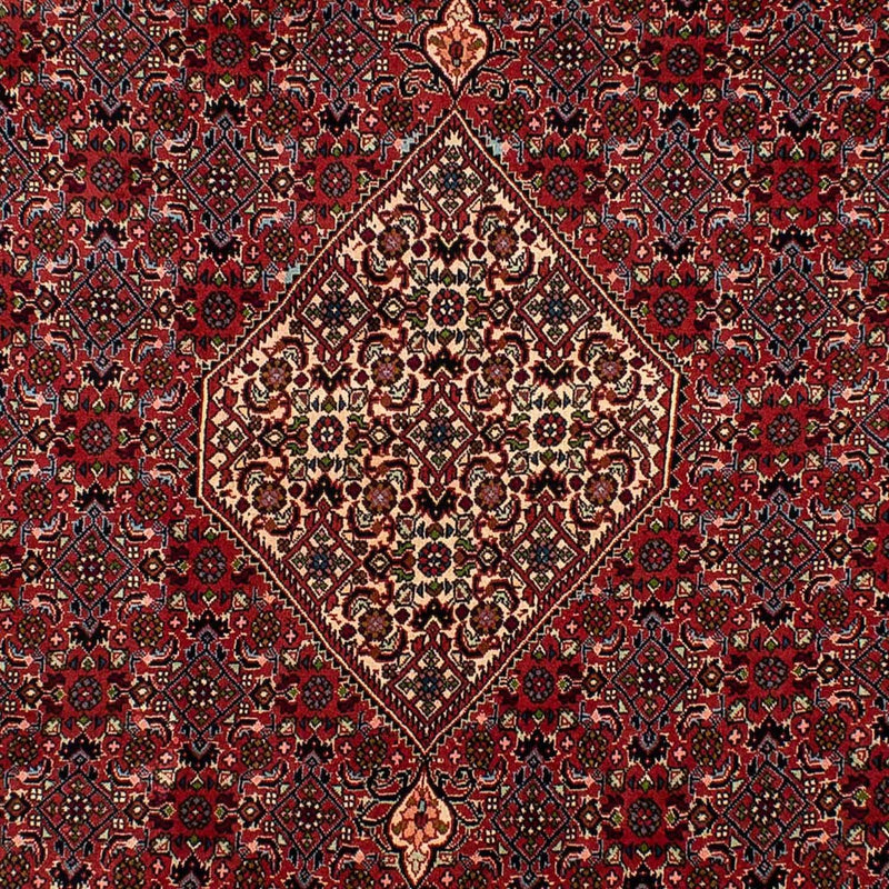 ビジャー 絨毯 290x206cm - ペルシャ絨毯