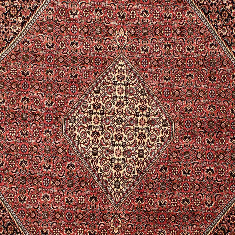 ビジャー 絨毯 293x205cm - ペルシャ絨毯