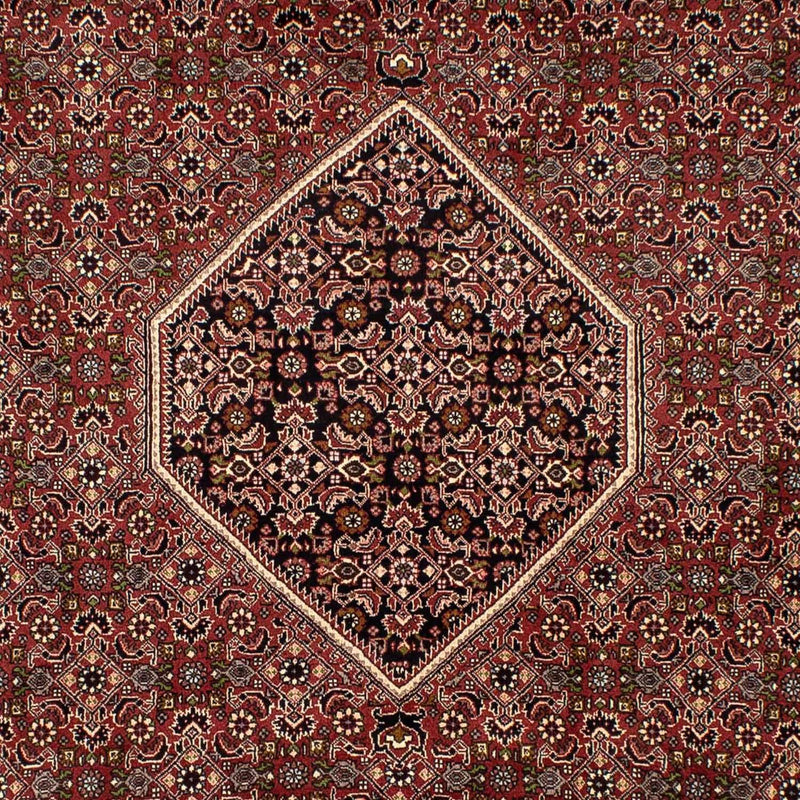 ビジャー 絨毯 300x197cm - ペルシャ絨毯