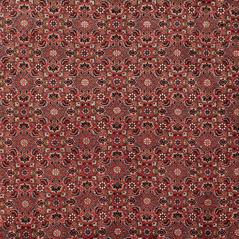 ビジャー 絨毯 310x196cm - ペルシャ絨毯