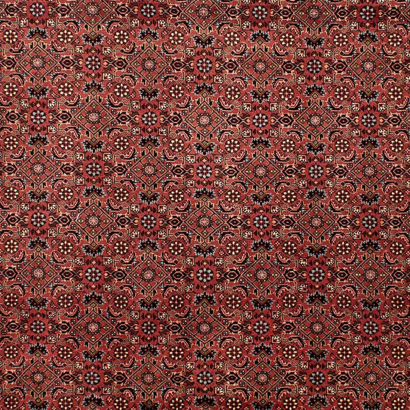 ビジャー 絨毯 292x203cm - ペルシャ絨毯