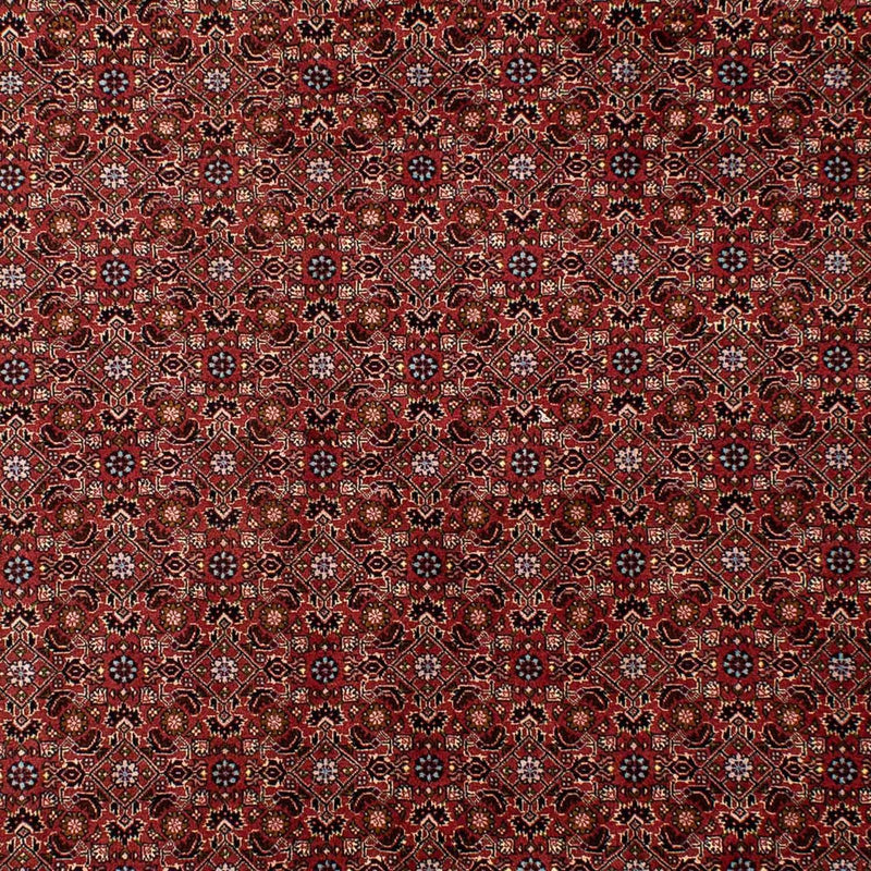 ビジャー 絨毯 288x198cm - ペルシャ絨毯
