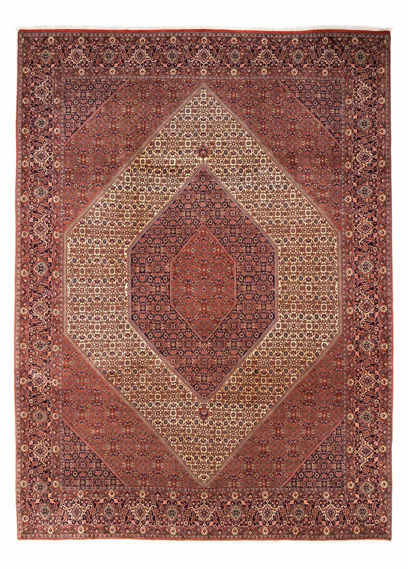ビジャー - タカブ 絨毯 340x254cm - ペルシャ絨毯