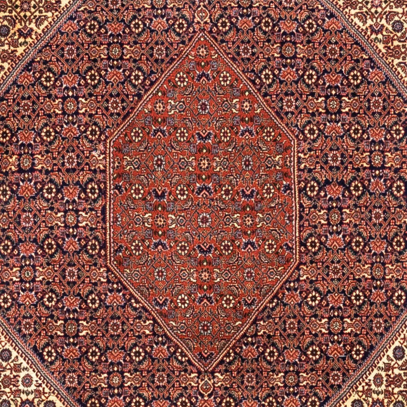 ビジャー - タカブ 絨毯 340x254cm - ペルシャ絨毯