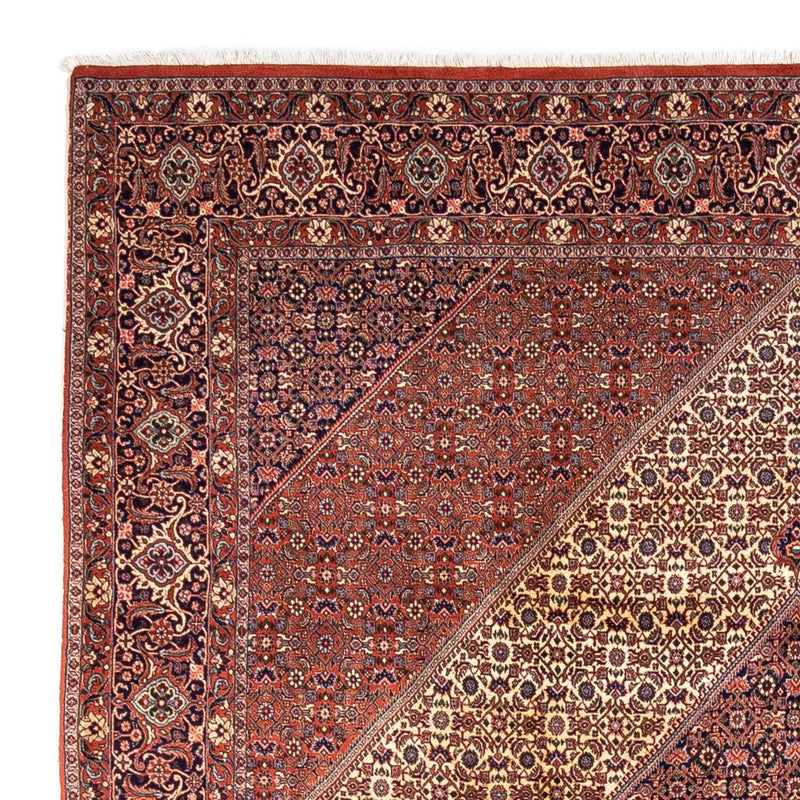 ビジャー - タカブ 絨毯 340x254cm - ペルシャ絨毯