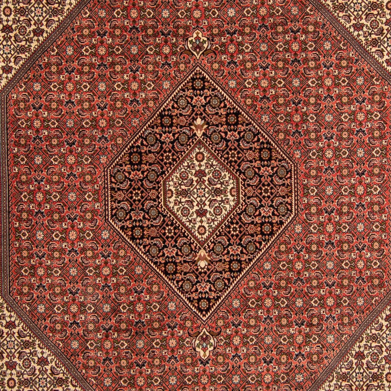 ビジャー 絨毯 343x250cm - ペルシャ絨毯