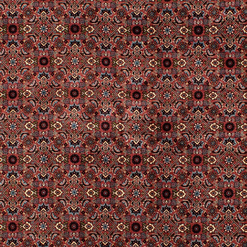ビジャー 絨毯 257x178cm - ペルシャ絨毯
