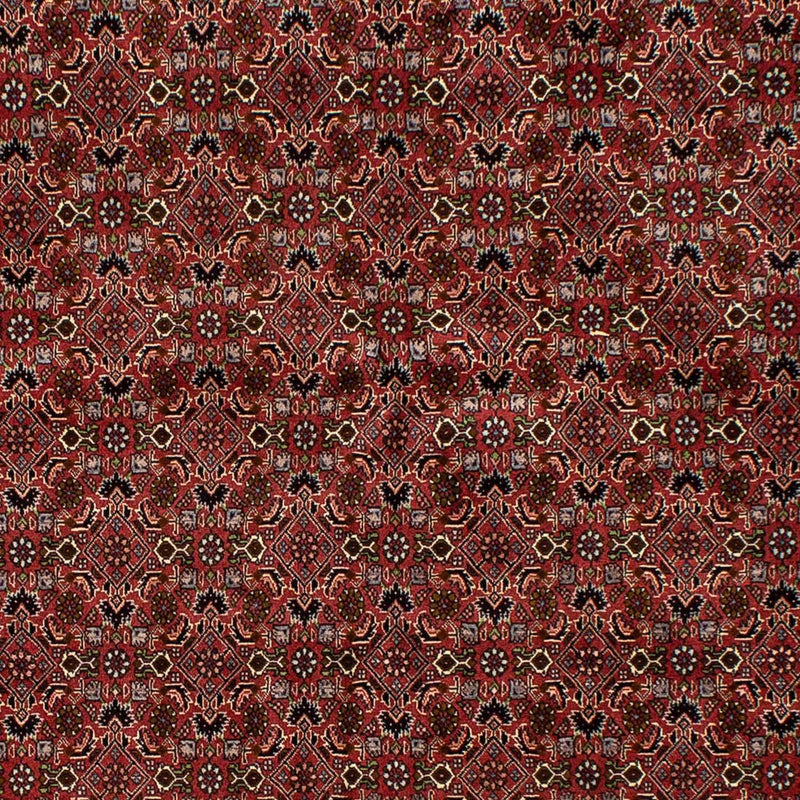 ビジャー 絨毯 245x177cm - ペルシャ絨毯