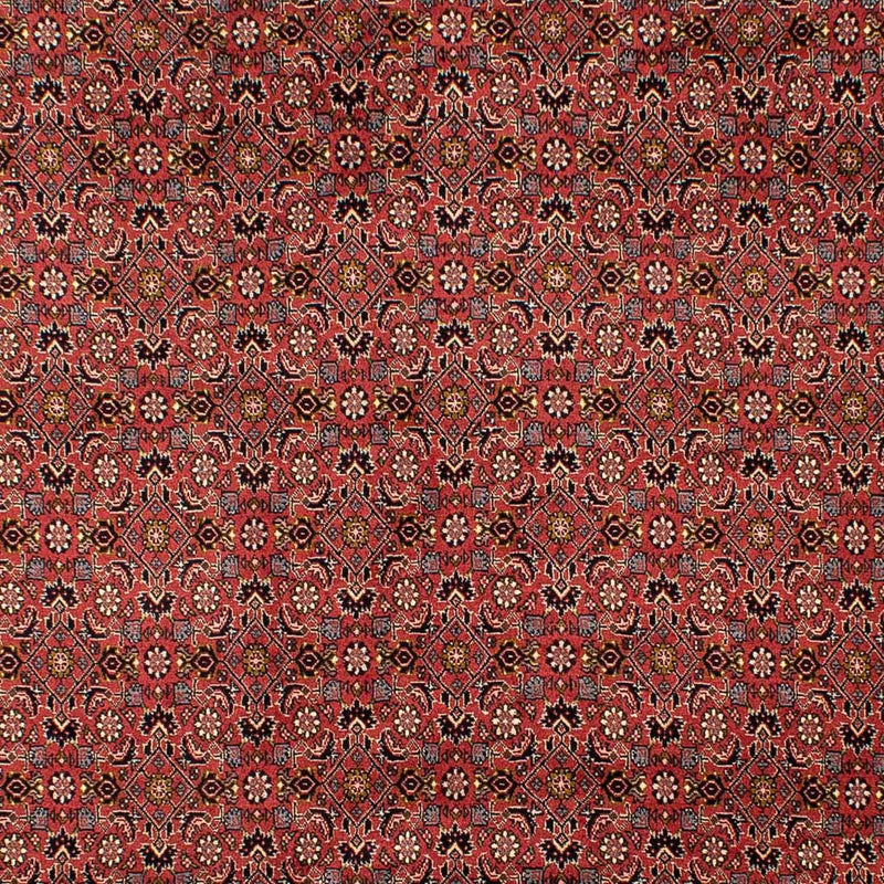 ビジャー 絨毯 293x206cm - ペルシャ絨毯