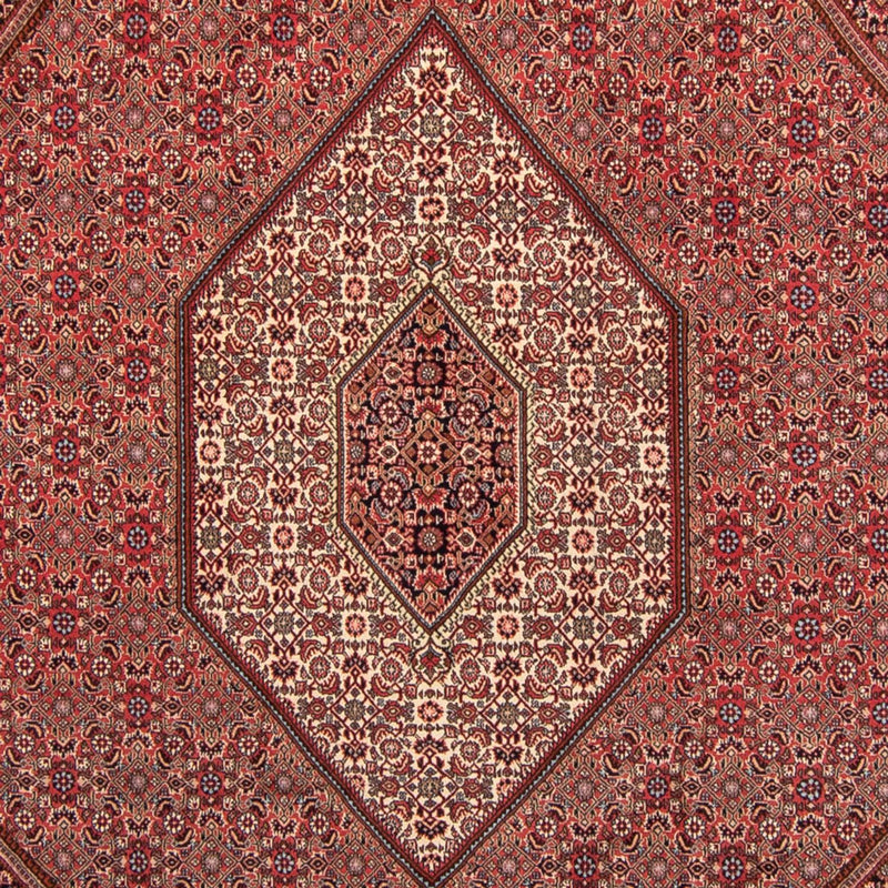 ビジャー 絨毯 350x248cm - ペルシャ絨毯