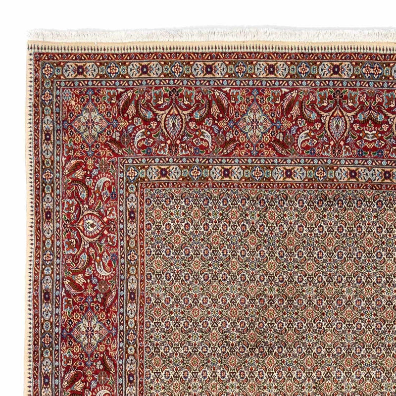モウド 絨毯 346x238cm - ペルシャ絨毯