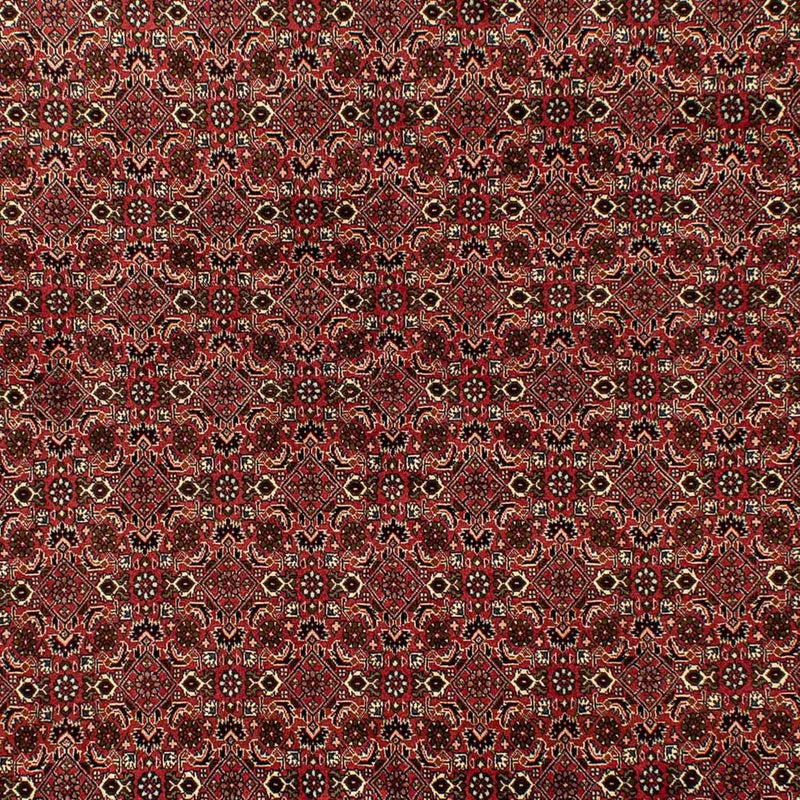 ビジャー 絨毯 284x202cm - ペルシャ絨毯