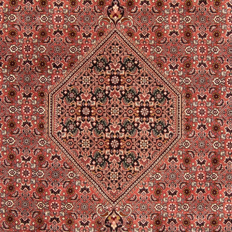 ビジャー 絨毯 340x248cm - ペルシャ絨毯