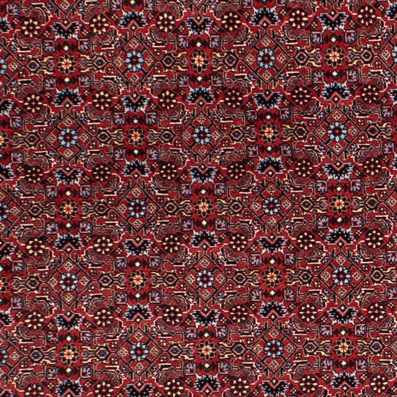 ビジャー 絨毯 160x160cm - ペルシャ絨毯