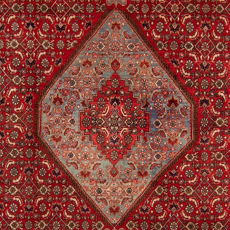 ビジャー 絨毯 332x228cm - ペルシャ絨毯