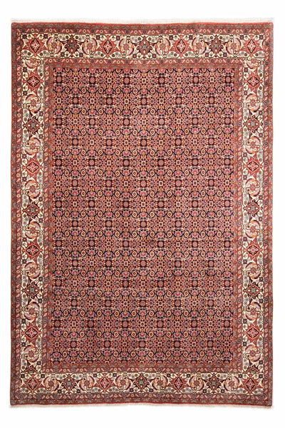 ビジャー 絨毯 202x297cm - ペルシャ絨毯