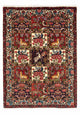 バフティアール 絨毯 154x106cm - ペルシャ絨毯