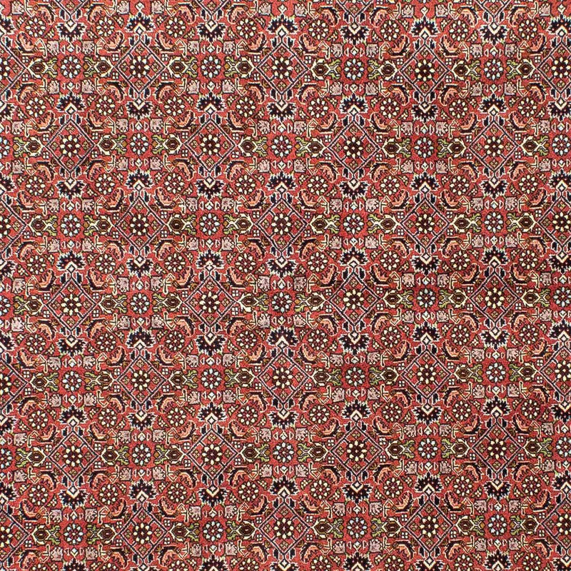 ビジャー 絨毯 251x172cm - ペルシャ絨毯