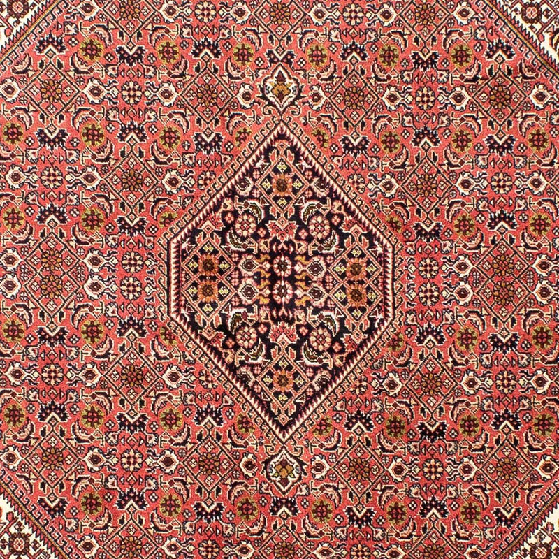 ビジャー 絨毯 240x170cm - ペルシャ絨毯