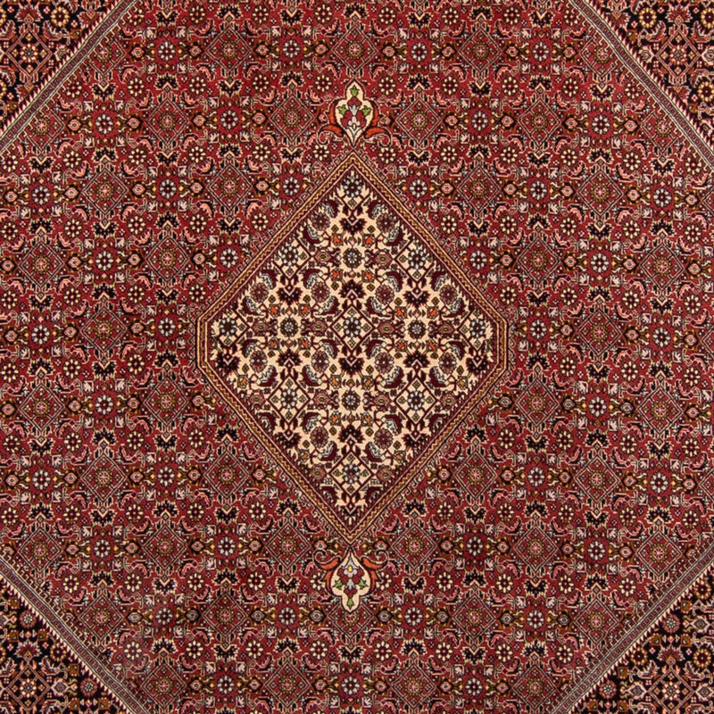 ビジャー 絨毯 338x250cm - ペルシャ絨毯