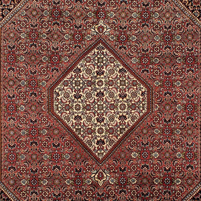 ビジャー 絨毯 298x195cm - ペルシャ絨毯