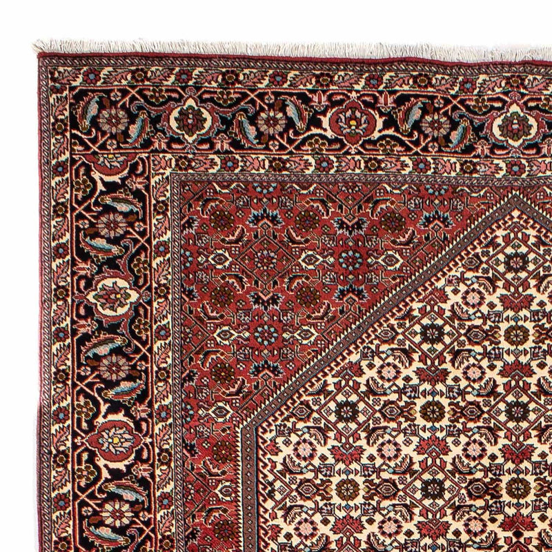 ビジャー 絨毯 300x196cm - ペルシャ絨毯