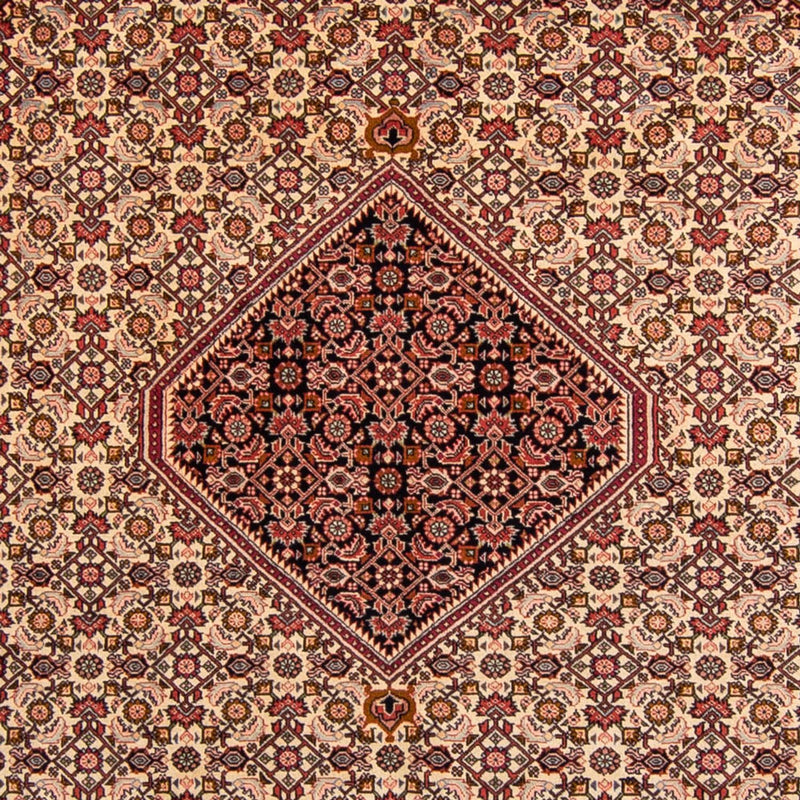 ビジャー 絨毯 330x247cm - ペルシャ絨毯