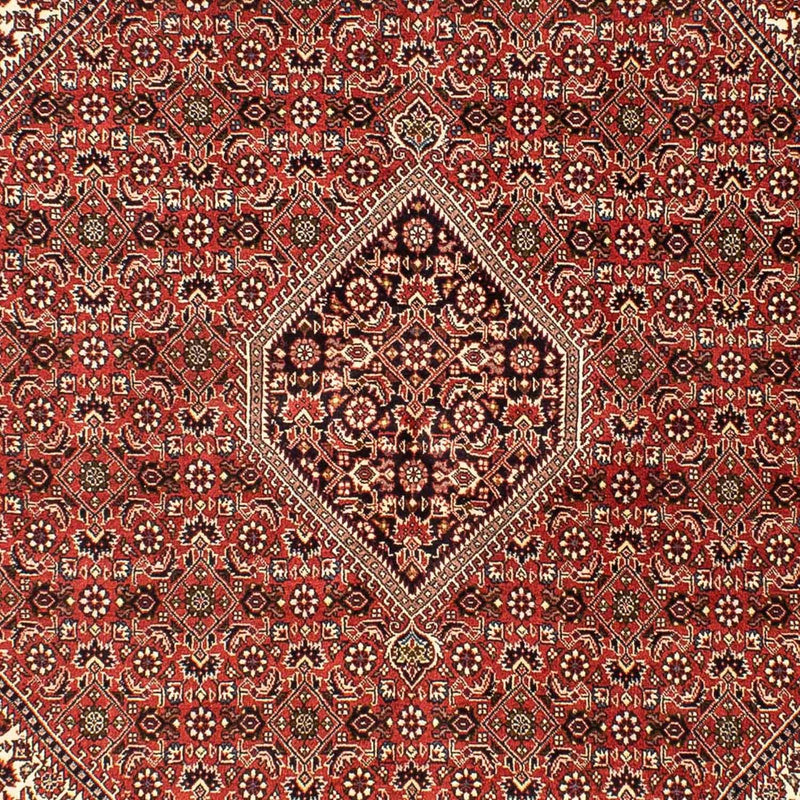 ビジャー 絨毯 242x173cm - ペルシャ絨毯