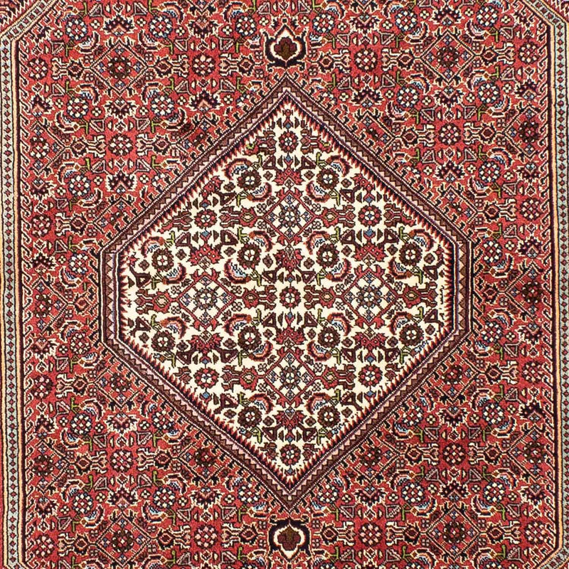 ビジャー 絨毯 255x170cm - ペルシャ絨毯