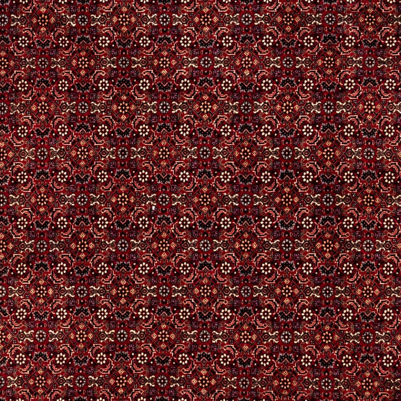 ビジャー - ザンジャン 絨毯 350x250cm - ペルシャ絨毯