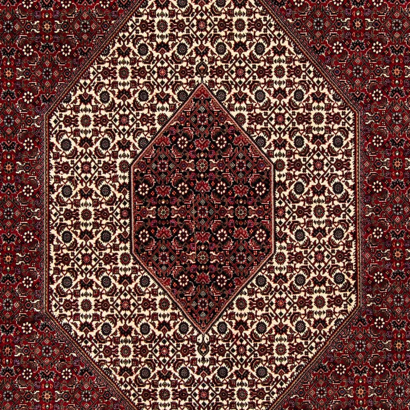 ビジャー 絨毯 257x204cm - ペルシャ絨毯