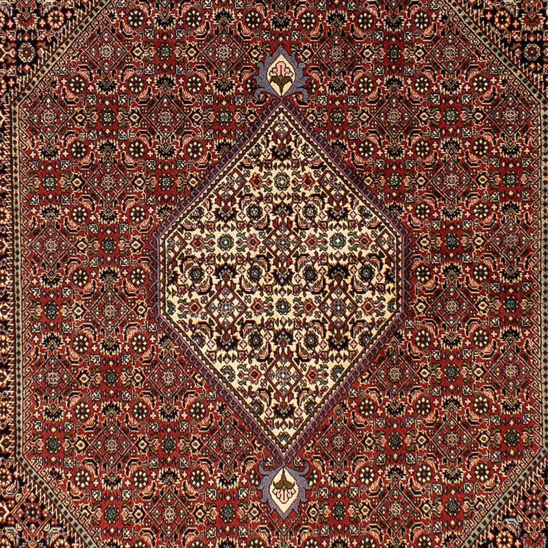 ビジャー 絨毯 250x173cm - ペルシャ絨毯